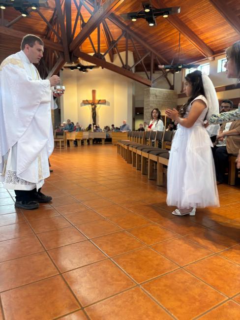 IMG 9337 (1)